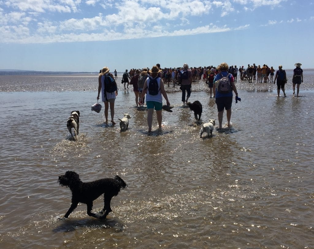 Cross Bay Walk